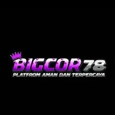 bigcor78 APK Battle Royale